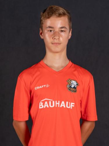 Niklas Wittig