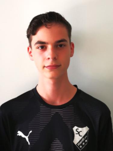 Luca Perrone