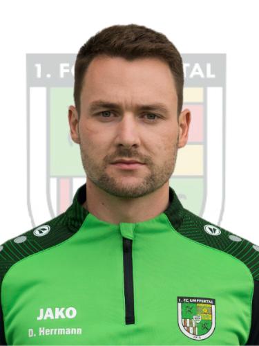 Dennis Herrmann