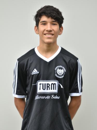 Edison Damian Torres Rincon