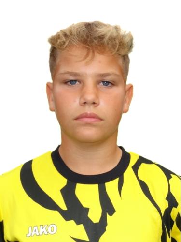 Wiktor Aleksander Strzebonski