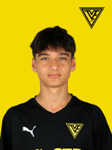Nico Mesgari