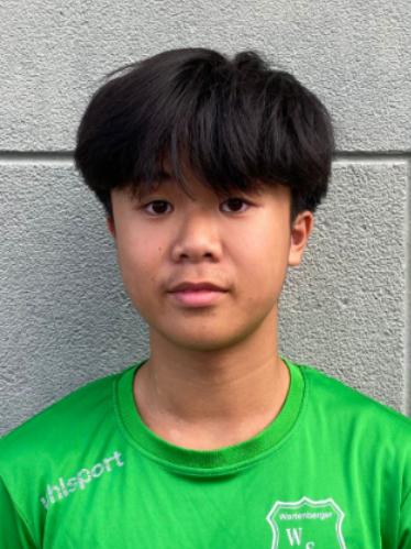 Tran Minh Hieu Dau