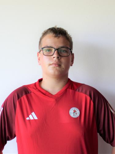 Johannes Emil Liehmann