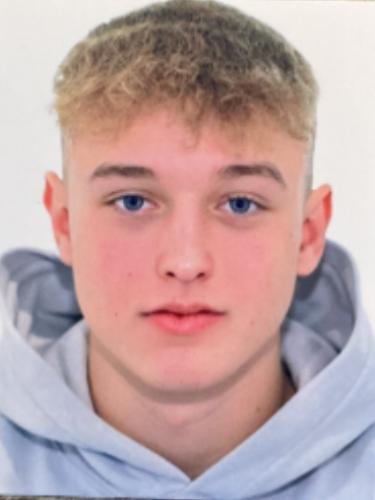 Louis Hansow