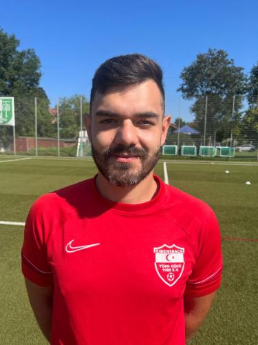 Deian-Ilie Tismanar