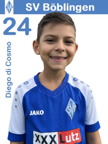 Diego Di Cosmo