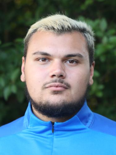 Domenik Akl