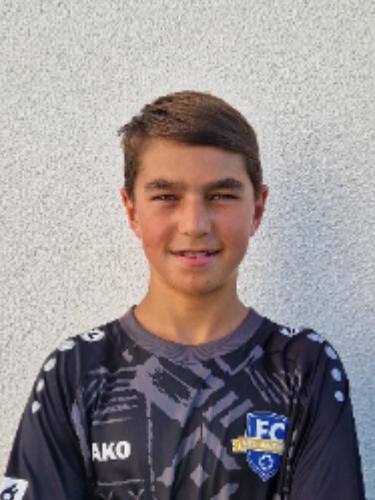 Enrico Miguel Salvatierra