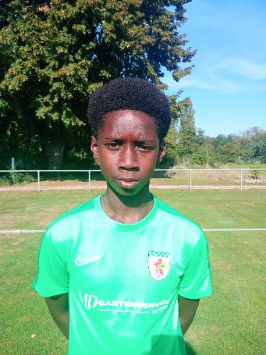 Dominic Kwodwo Appau Antwi