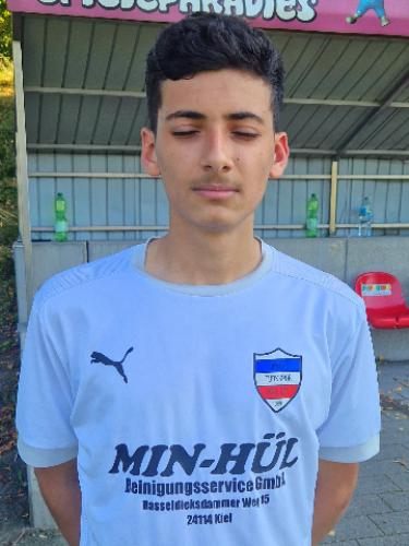Mohamad Abdelhamid Swedani