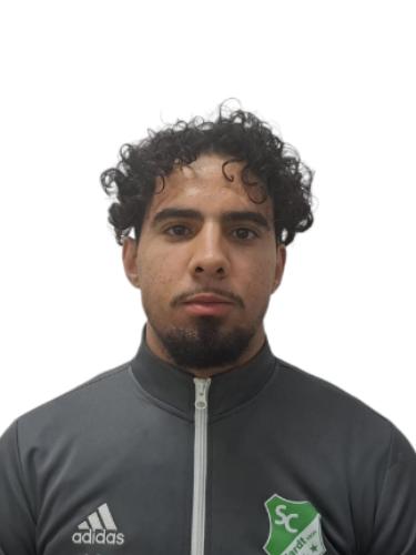 Ayyoub Mesrour