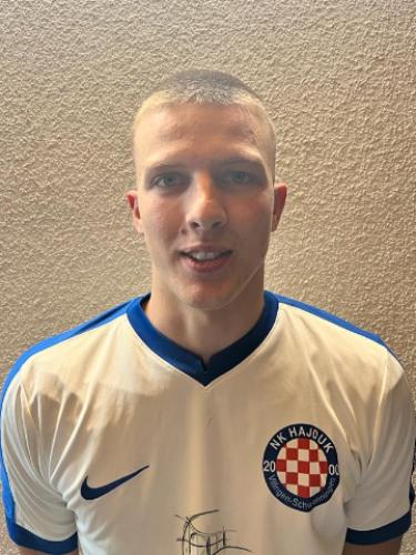 Nikola Tomic