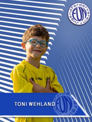Toni Wehland