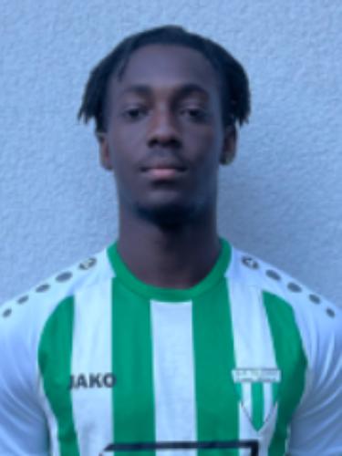Oluwatosin Elijah Owolabi