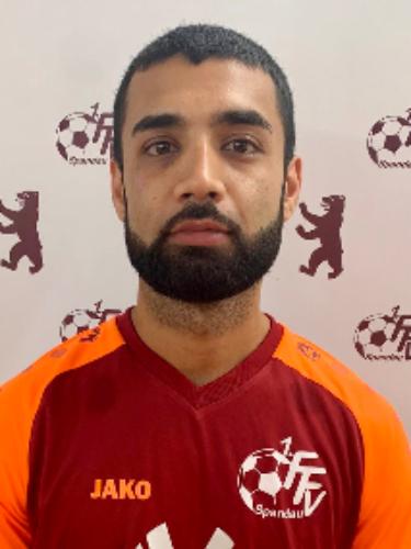 Arash Afsari