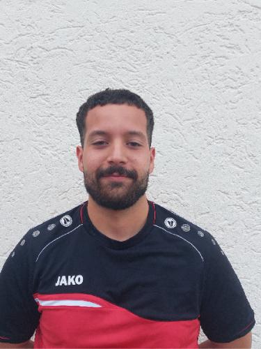 Mehdi Khamassi