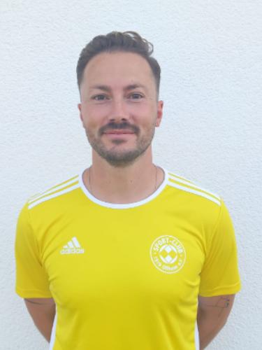 Dominik Yves Schwertel