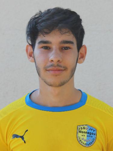 Mladen Mitkov Mladenov