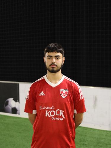 Muhammad El-Sinnawi