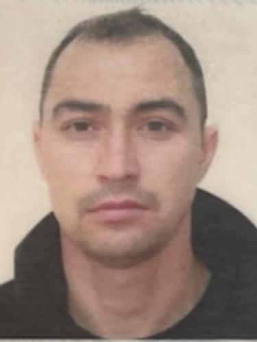 Constantin Bologan