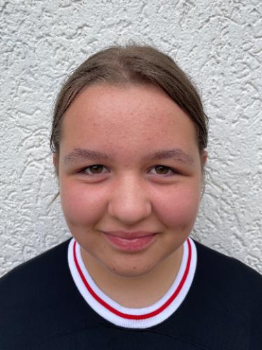 Sehersada Begovic