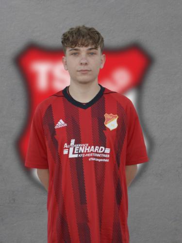 Felix Freidel