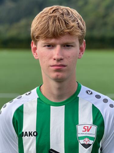Hendrik Zur Nieden