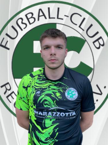 Ilija Salaj