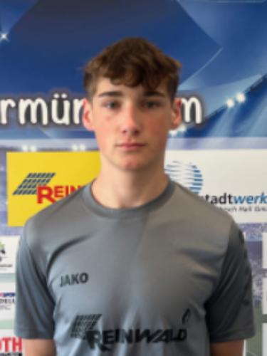 Henrik Leonard Seiler