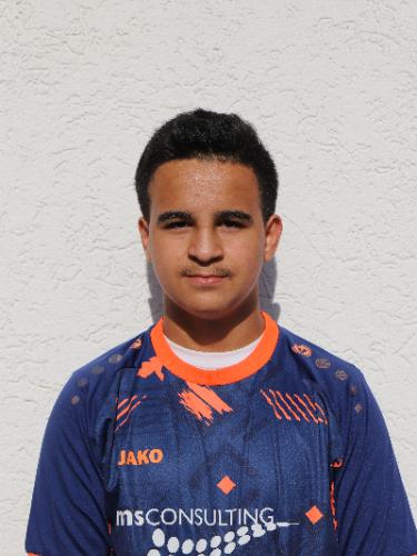 Mohammad-Tofik Al Shab