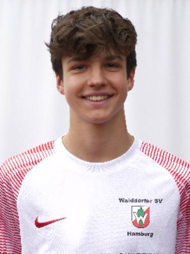 Tobias Henrique Steinwärder