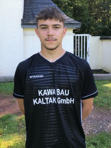Vitali Mehling