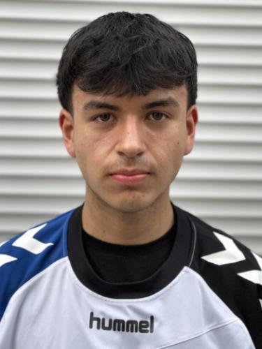 Ronny Michael Vera Guerra