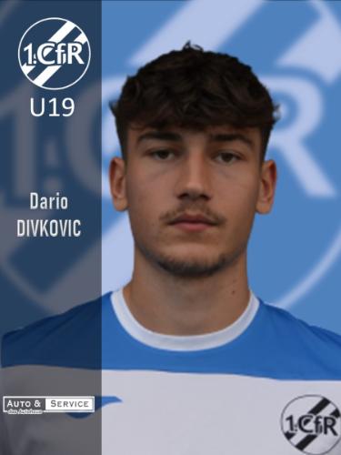 Darijo Divkovic