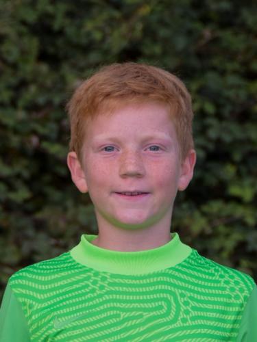 Theo Henke