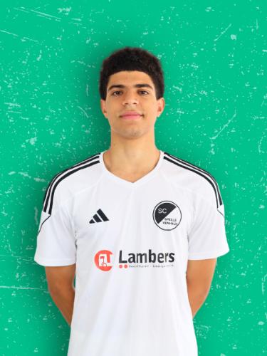 Abdullah Amr Mostafa Abdelghany