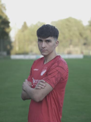 Milan Dieser