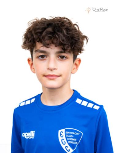 Ledion Muja