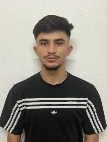 Ahmad Hamo