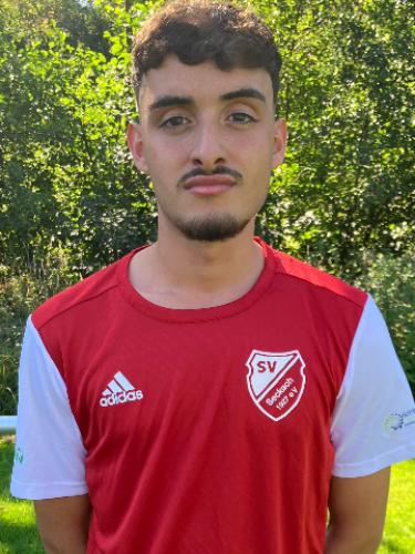 Mahmut Özen Isik