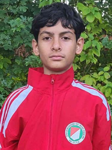 Mohammad Erfan Shirzaad