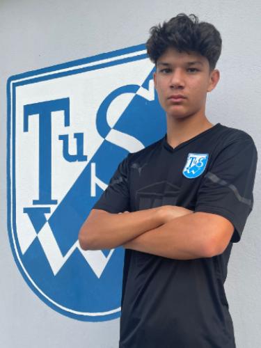 Ron-Ranjit Tom Trisek