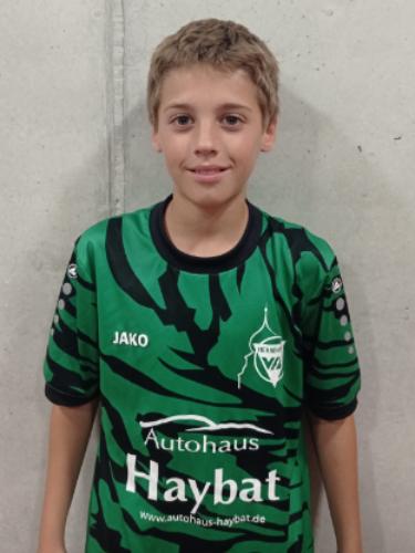 Milan Milicev