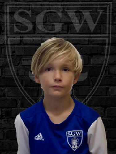 Gustav Waydelin