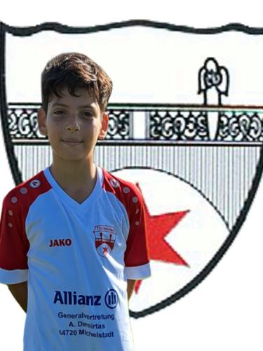 Boran Bakla