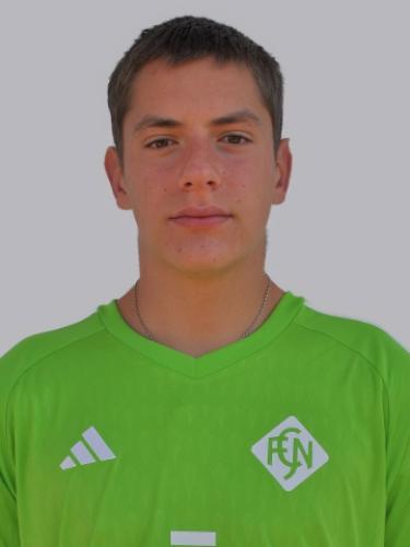 Mirko Vasiljevic