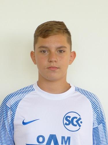 Mario Raoul Florescu