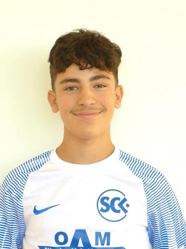 Dominic Lupo