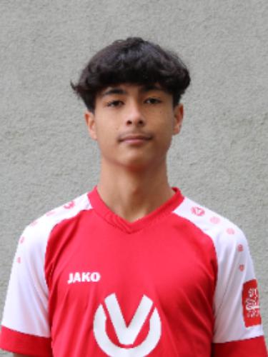 Mhadi Hossaini